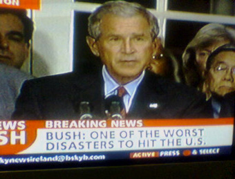 bush disaster