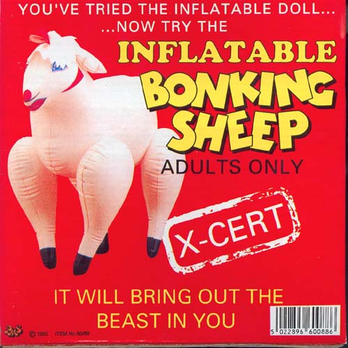 boinking sheep