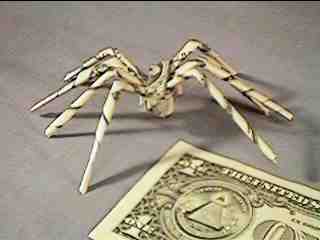money spider