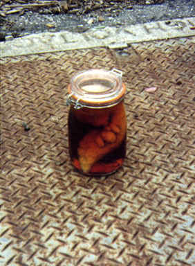thing in a jar