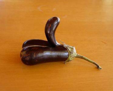 eggplant penis