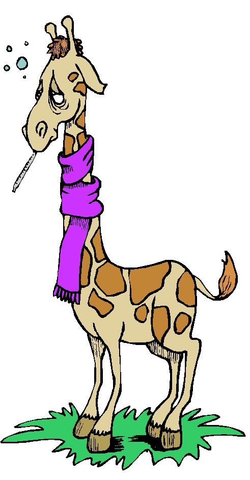 sick giraffe