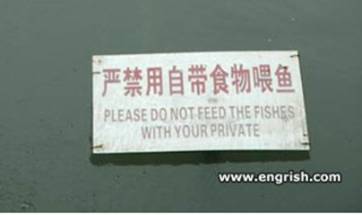 do not feed china