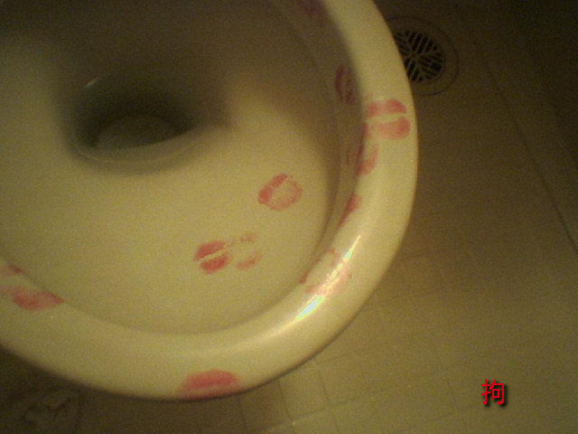 toilet kisses