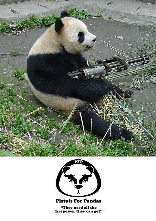 armed panda