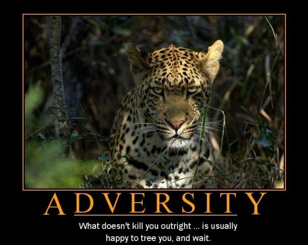 adversity