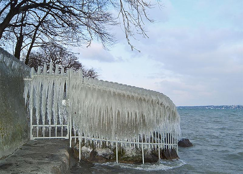 frozen-fence