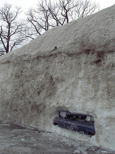 frozen-in-car-1
