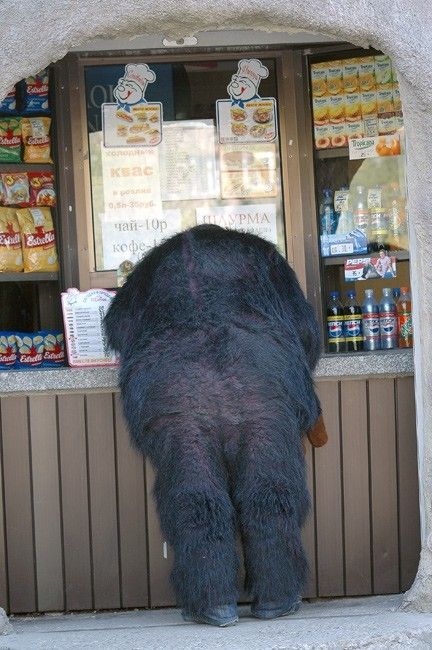 a bear butt