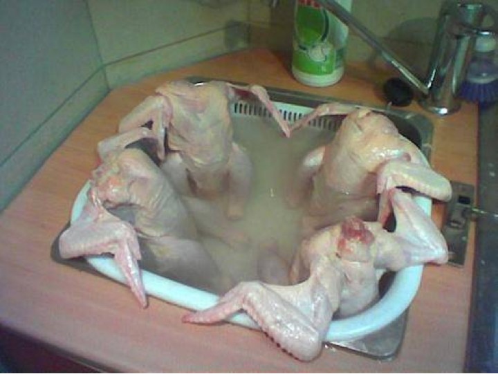 chicken-hot-tub