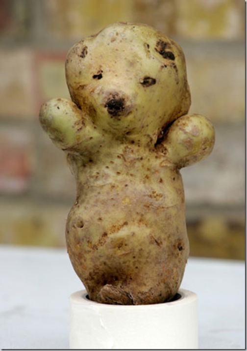 bear_shaped_potato