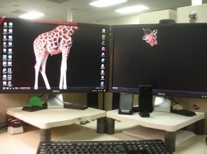 extended desktop