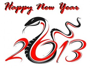 happy-chinese-new-year-2013-snake