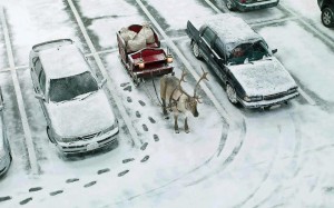 parked sleigh