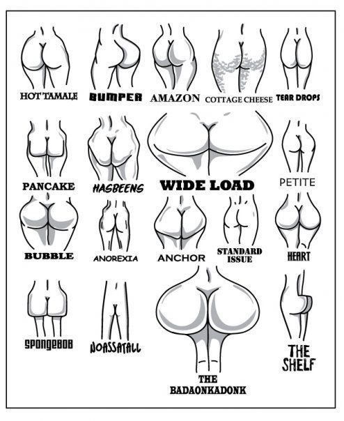 types_of_womens_behinds