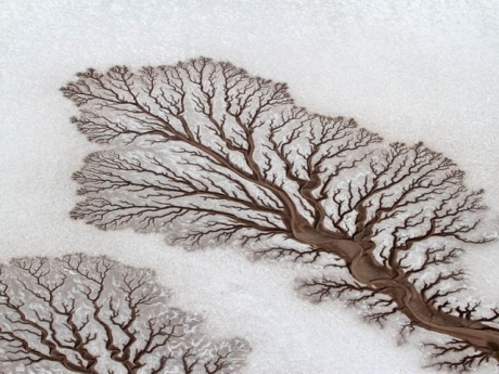Fractal_Patterns_In_Dried_Out_Desert_Rivers.jpg